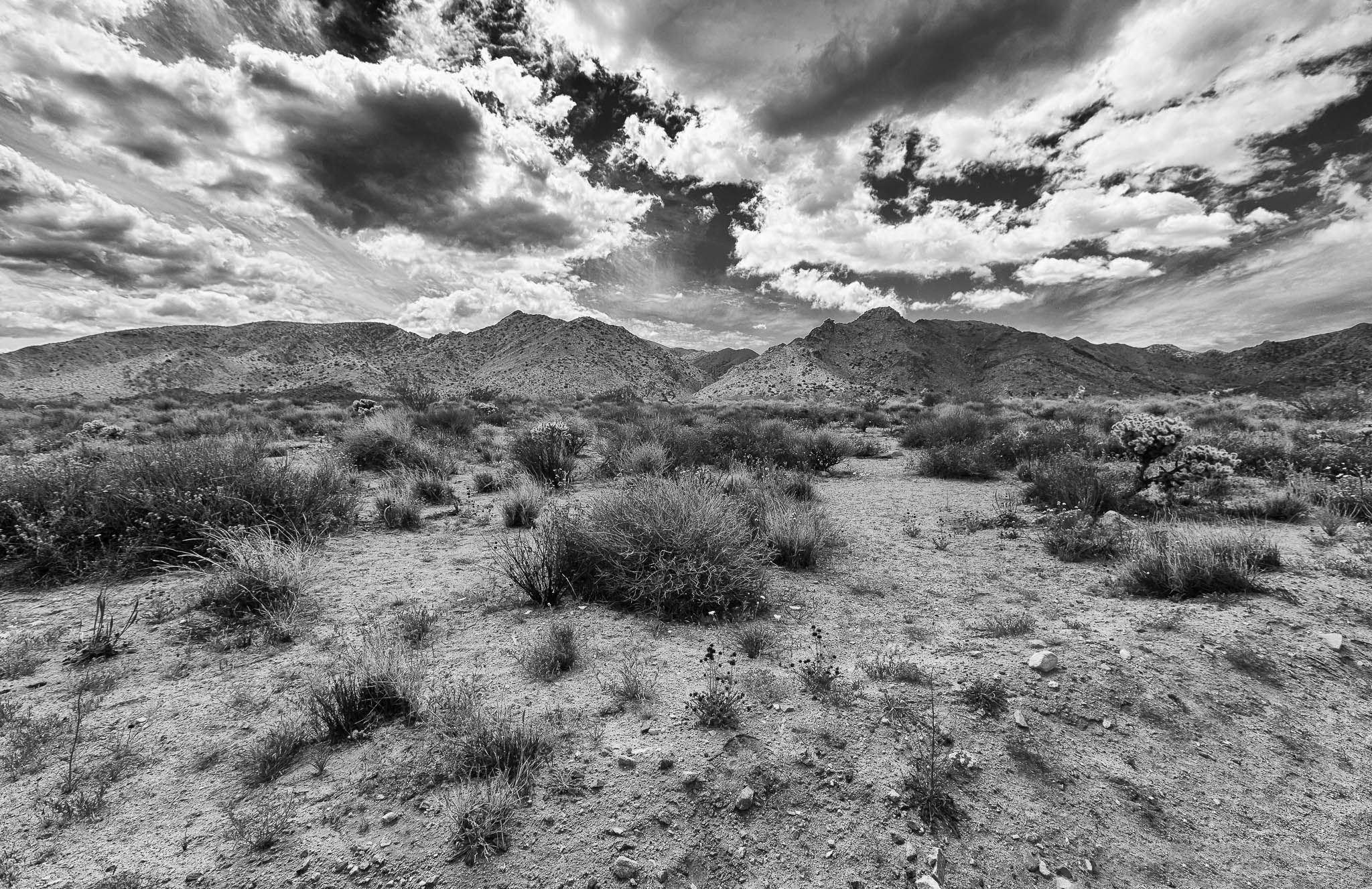 Mojave Clouds