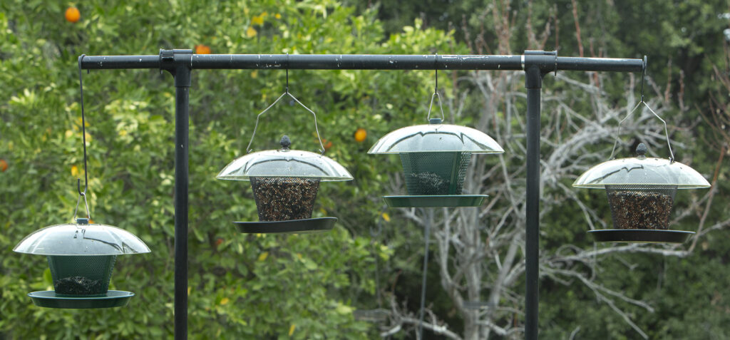 Seed Feeders