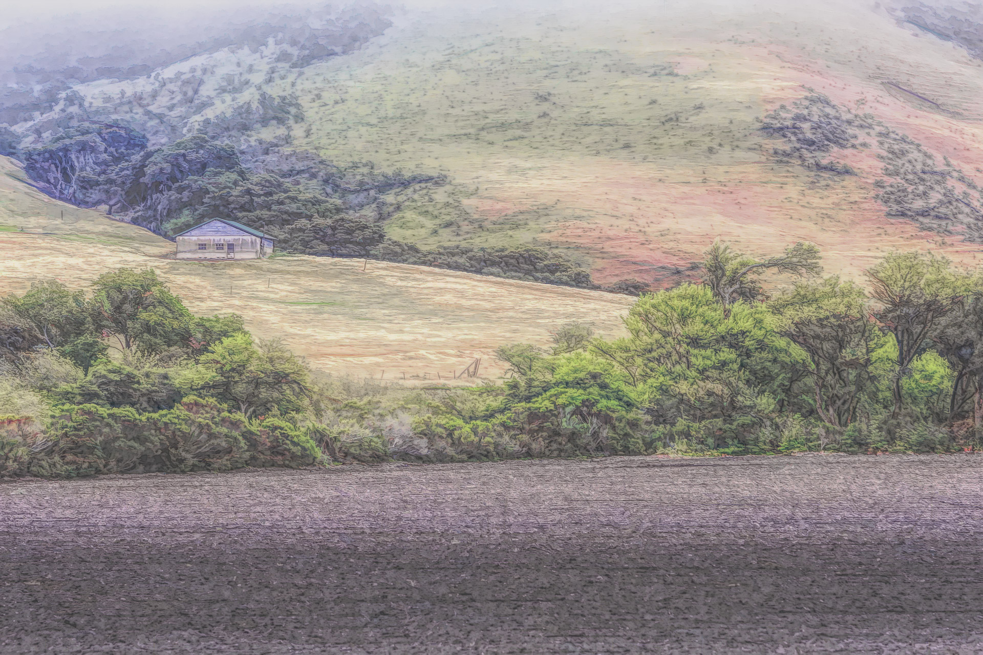 Along the Road to Jalama